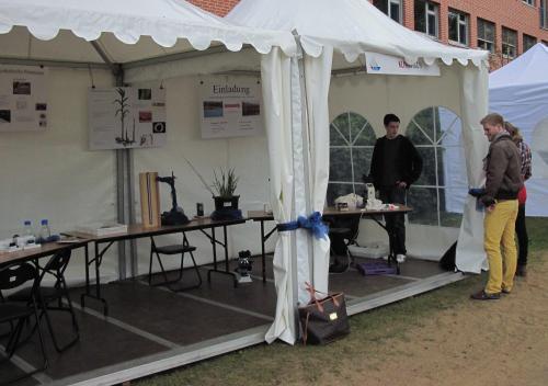 Stand der TMS bei 